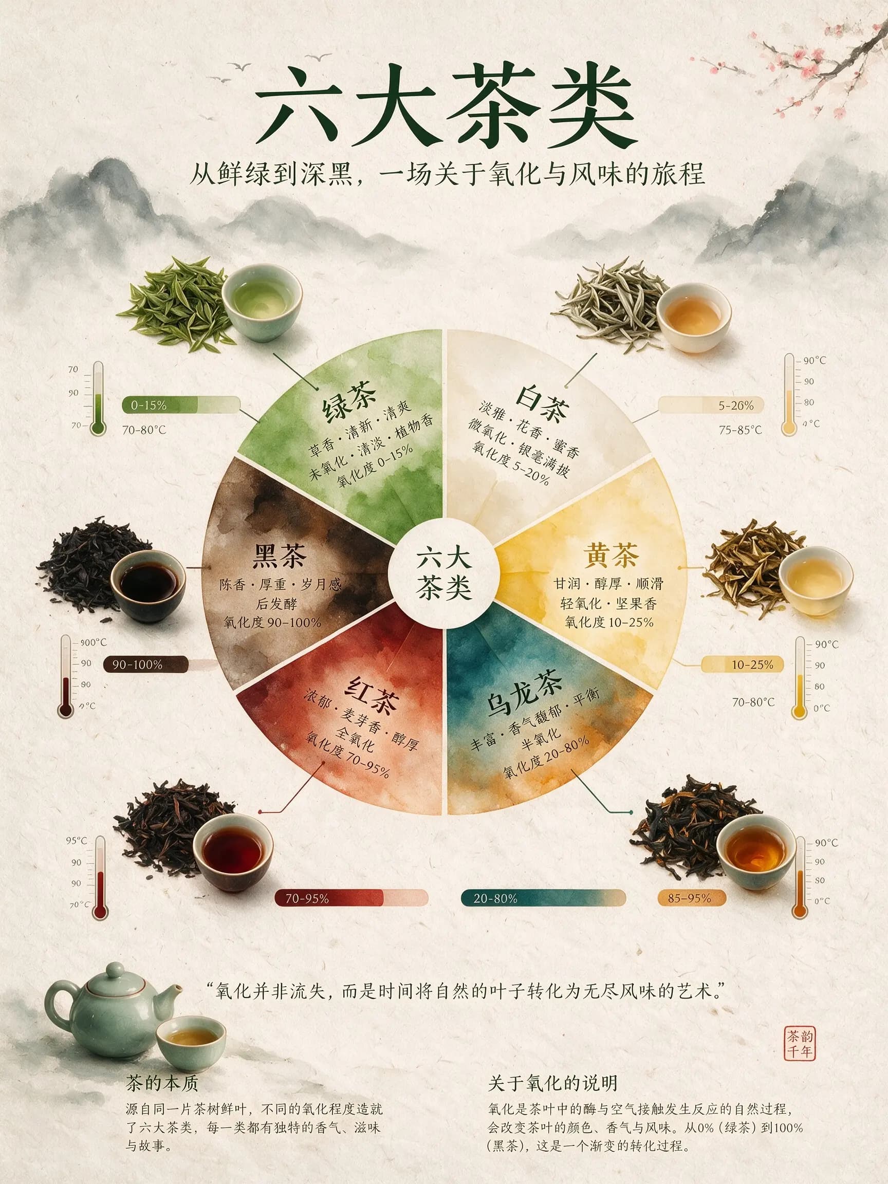 ByteDance Seed 官方 Seedream 5.0 Pro 中国茶信息图案例