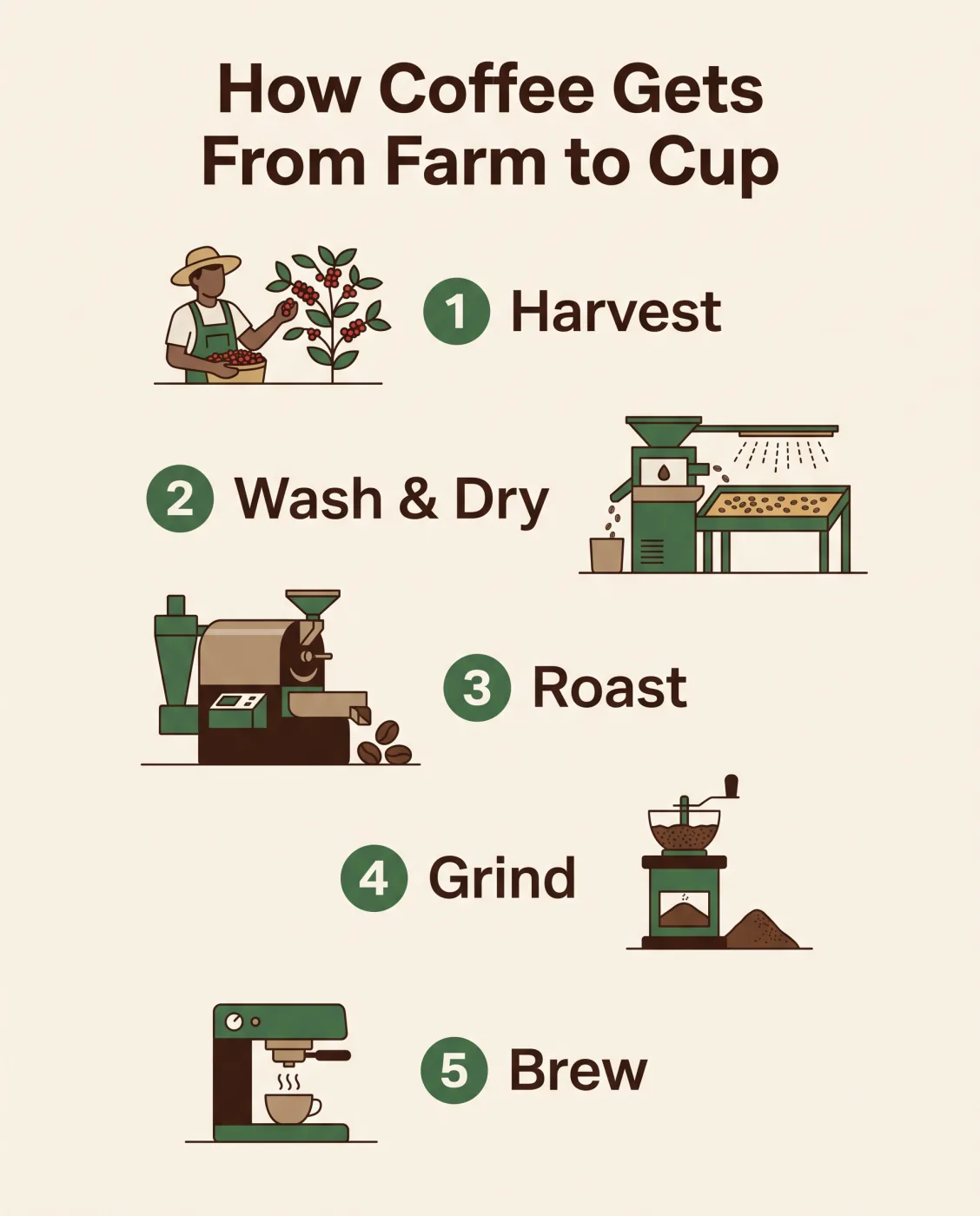 Nano Banana 2 · Five-step infographic